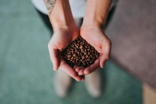 A person holding loose coffee beans in his open hands.